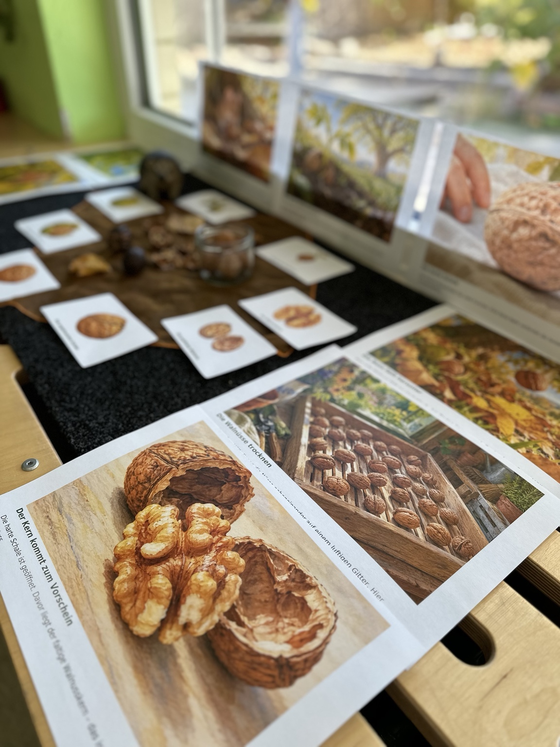 Vorbereitete Lernstation mit Walnüssen, Naturmaterialien und Bildkarten